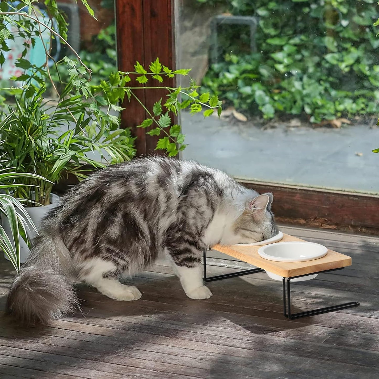Elevated Cat Ceramic Bowls, Small Dog Raised Food Feeding Dishes, Solid Wood Water Stand Feeder Set for Cats and Puppy