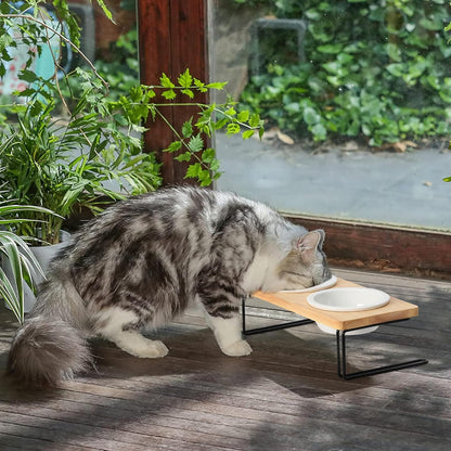 Elevated Cat Ceramic Bowls, Small Dog Raised Food Feeding Dishes, Solid Wood Water Stand Feeder Set for Cats and Puppy