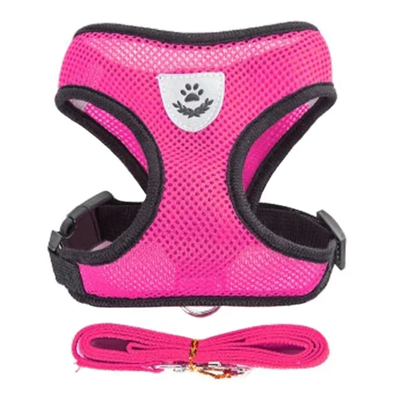 Adjustable Mesh Pet Harness with Leash, Polyester Vest Type Walking Strap for Small Medium Cats Dogs