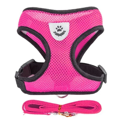 Adjustable Mesh Pet Harness with Leash, Polyester Vest Type Walking Strap for Small Medium Cats Dogs