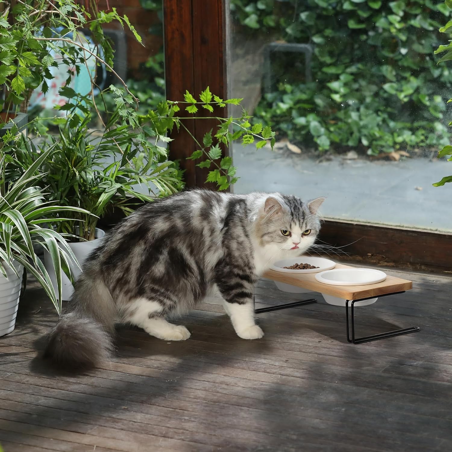 Elevated Cat Ceramic Bowls, Small Dog Raised Food Feeding Dishes, Solid Wood Water Stand Feeder Set for Cats and Puppy
