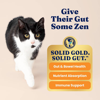 Solid Gold Indoor Dry Cat Food - Grain Free & Gluten Free - Chicken Cat Food Dry Kibble for Indoor Cats for Gut Health - Sensitive Stomach & Hairball Support for Adult Cats - 12LB