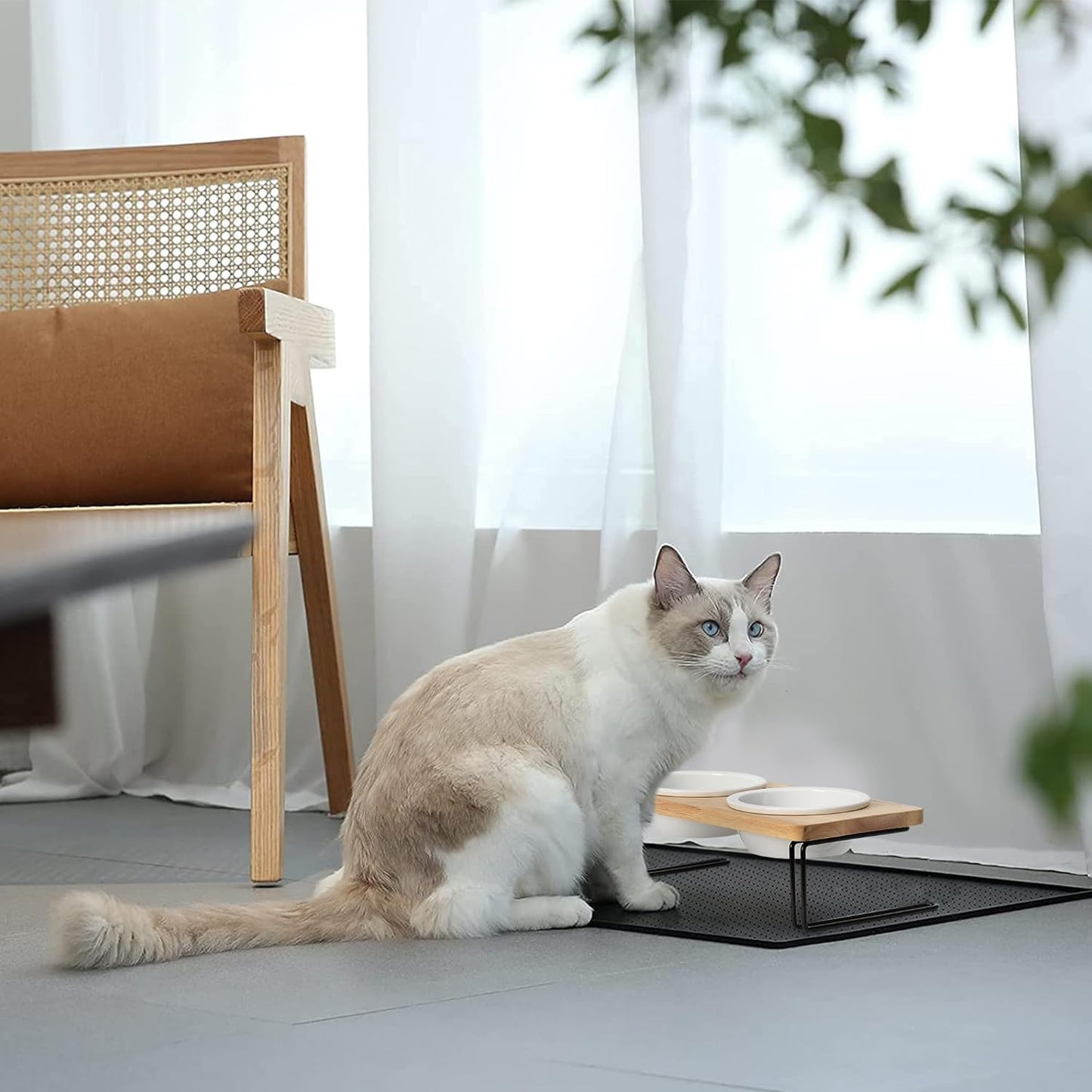 Elevated Cat Ceramic Bowls, Small Dog Raised Food Feeding Dishes, Solid Wood Water Stand Feeder Set for Cats and Puppy
